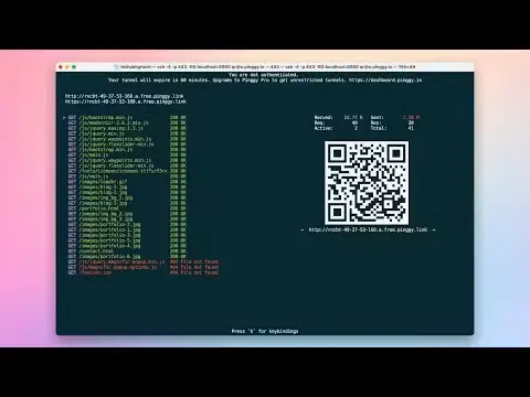  PINGGY screenshot 4
