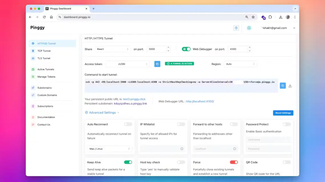  PINGGY screenshot 5