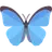 Logo of Bluesky Copilot