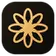 Logo of Ideogram4io